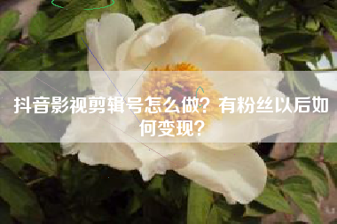 抖音影視剪輯號怎么做？有粉絲以后如何變現(xiàn)？