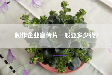 制作企業(yè)宣傳片一般要多少錢？