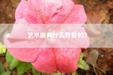 藝術(shù)展有什么好看的？