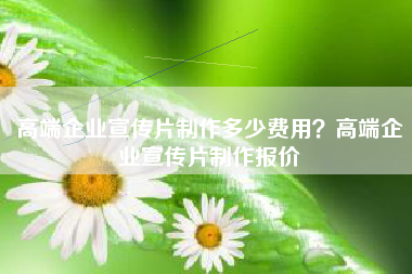 高端企業(yè)宣傳片制作多少費用？高端企業(yè)宣傳片制作報價